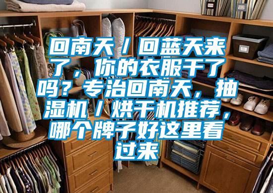 回南天／回藍天來了，你的衣服干了嗎？專治回南天，抽濕機／烘干機推薦，哪個牌子好這里看過來