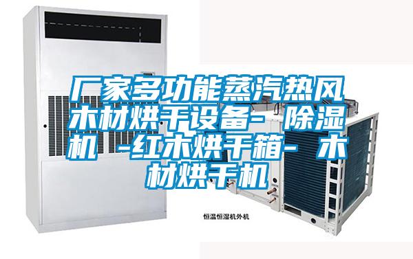 廠家多功能蒸汽熱風木材烘干設備- 除濕機 -紅木烘干箱- 木材烘干機