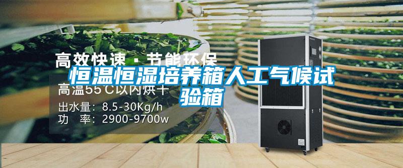 恒溫恒濕培養箱人工氣候試驗箱