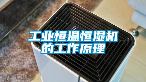 工業恒溫恒濕機的工作原理