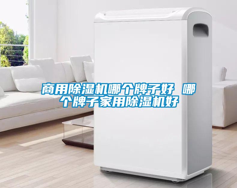 商用除濕機哪個牌子好 哪個牌子家用除濕機好