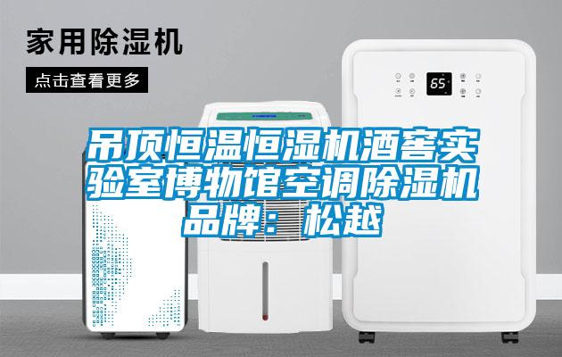 吊頂恒溫恒濕機酒窖實驗室博物館空調除濕機品牌:松越
