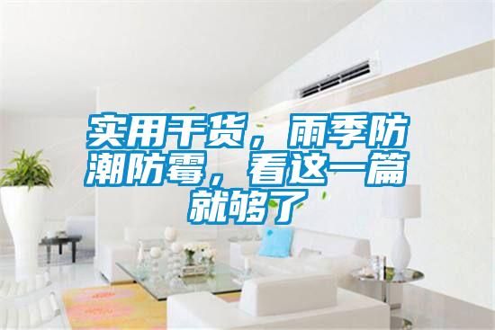 實用干貨,雨季防潮防霉,看這一篇就夠了