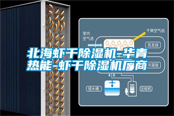 北海蝦干除濕機-華青熱能-蝦干除濕機廠商