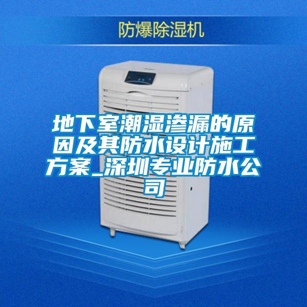 地下室潮濕滲漏的原因及其防水設計施工方案_深圳專業防水公司