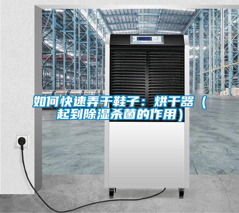 如何快速弄干鞋子:烘干器(起到除濕殺菌的作用)