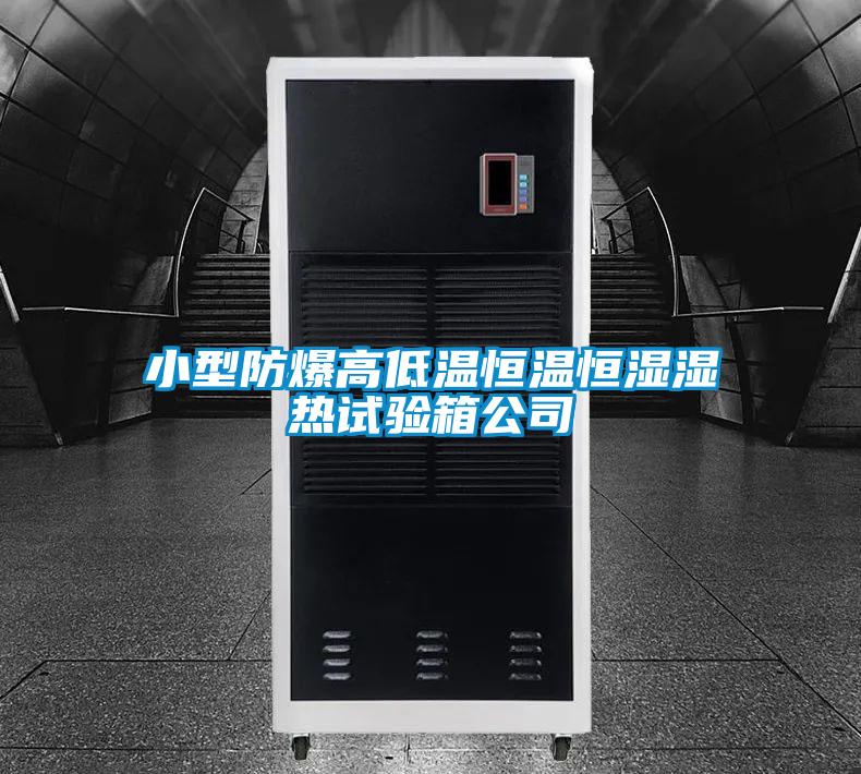 小型防爆高低溫恒溫恒濕濕熱試驗箱公司