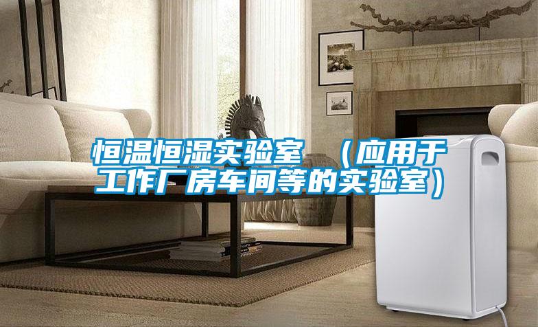 恒溫恒濕實驗室 （應用于工作廠房車間等的實驗室）