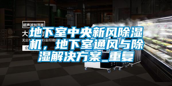 地下室中央新風除濕機,地下室通風與除濕解決方案_重復