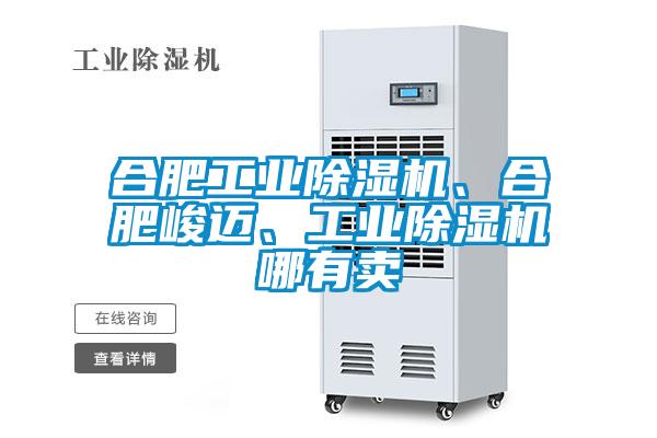 合肥工業除濕機、合肥峻邁、工業除濕機哪有賣