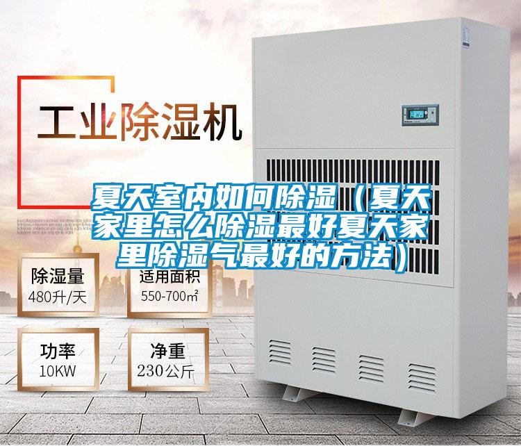 夏天室內(nèi)如何除濕(夏天家里怎么除濕最好夏天家里除濕氣最好的方法)