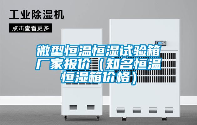 微型恒溫恒濕試驗(yàn)箱廠家報(bào)價(jià)（知名恒溫恒濕箱價(jià)格）