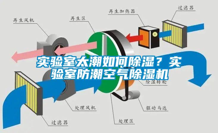 實驗室太潮如何除濕?實驗室防潮空氣除濕機(jī)