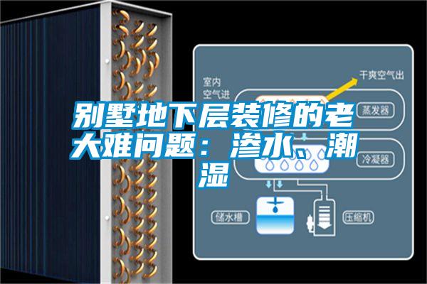 別墅地下層裝修的老大難問題：滲水、潮濕