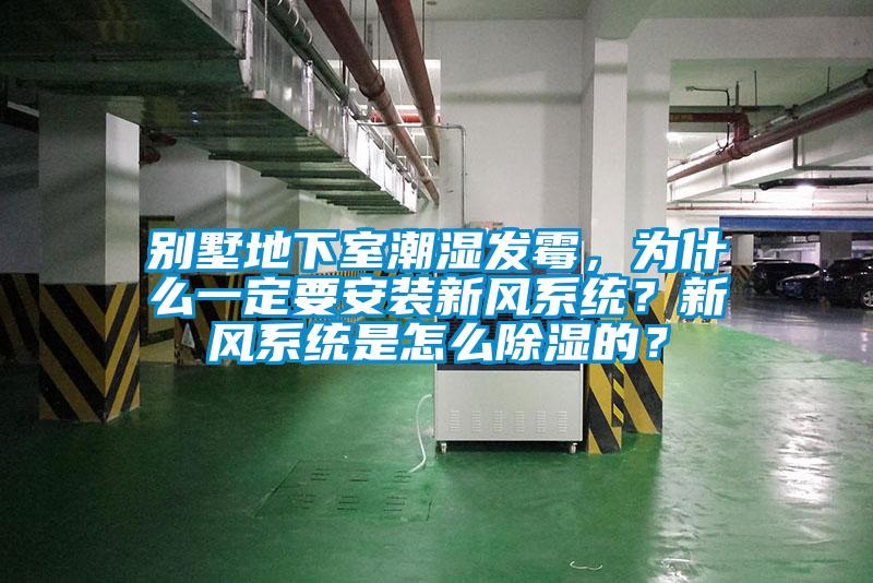 別墅地下室潮濕發(fā)霉，為什么一定要安裝新風(fēng)系統(tǒng)？新風(fēng)系統(tǒng)是怎么除濕的？