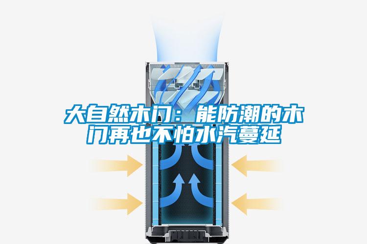 大自然木門:能防潮的木門再也不怕水汽蔓延