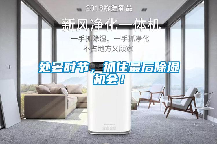 處暑時節(jié),抓住最后除濕機會!