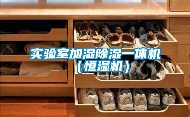 實驗室加濕除濕一體機(恒濕機)