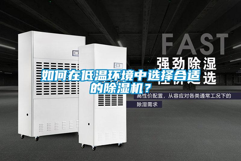 如何在低溫環境中選擇合適的除濕機?