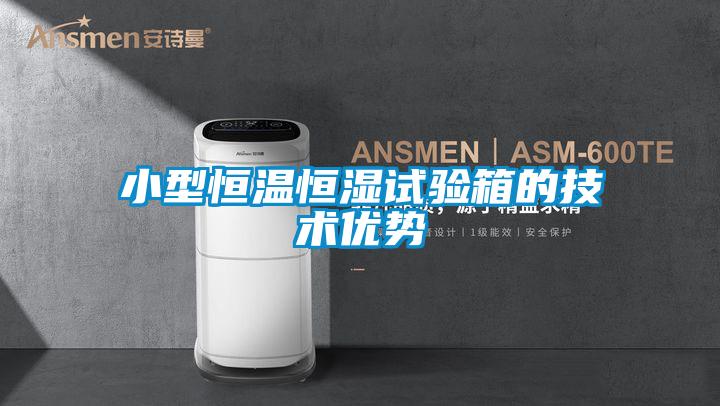 小型恒溫恒濕試驗箱的技術優勢