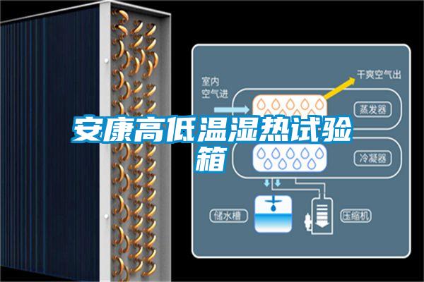 安康高低溫濕熱試驗(yàn)箱