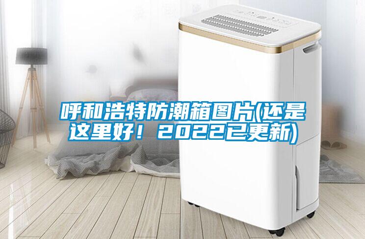 呼和浩特防潮箱圖片(還是這里好!2022已更新)