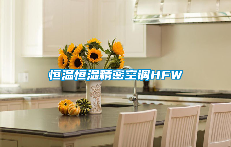 恒溫恒濕精密空調HFW