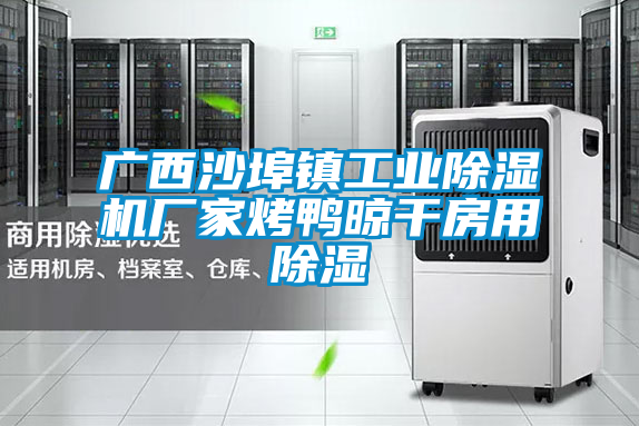 廣西沙埠鎮(zhèn)工業(yè)除濕機廠家烤鴨晾干房用除濕