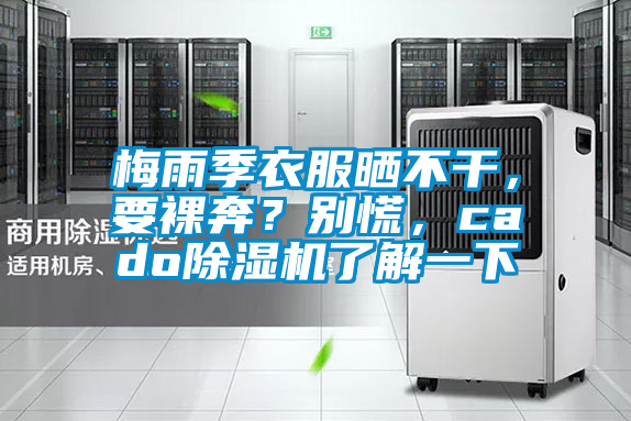 梅雨季衣服曬不干，要裸奔？別慌，cado除濕機(jī)了解一下