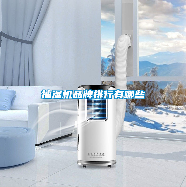 抽濕機品牌排行有哪些