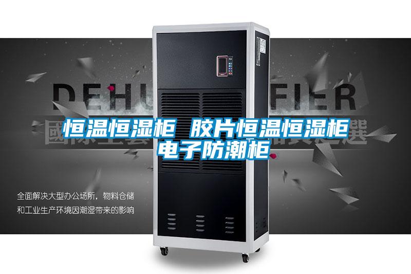 恒溫恒濕柜 膠片恒溫恒濕柜 電子防潮柜