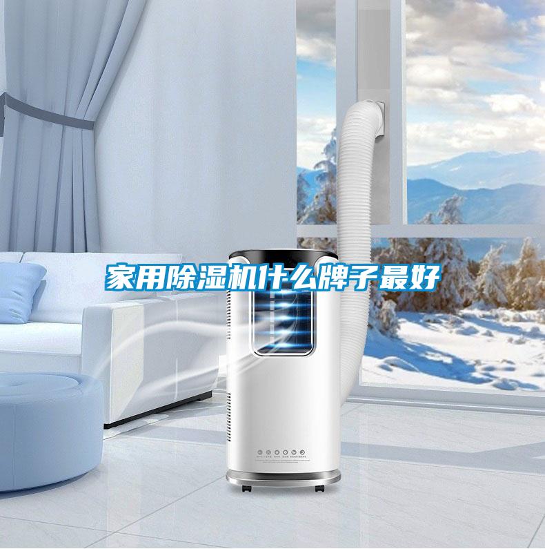 家用除濕機(jī)什么牌子最好