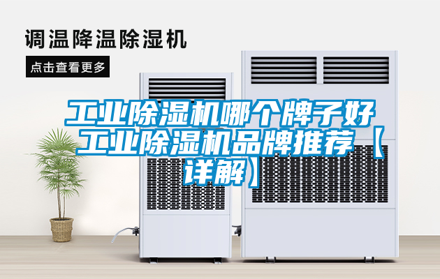 工業除濕機哪個牌子好 工業除濕機品牌推薦【詳解】