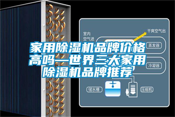 家用除濕機品牌價格高嗎—世界三大家用除濕機品牌推薦