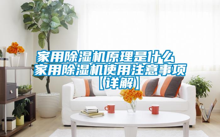家用除濕機(jī)原理是什么 家用除濕機(jī)使用注意事項(xiàng)【詳解】