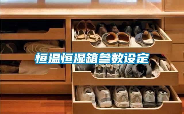 恒溫恒濕箱參數(shù)設(shè)定