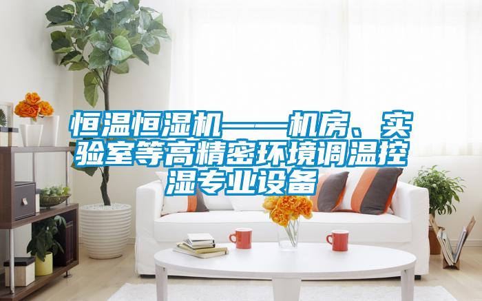 恒溫恒濕機——機房、實驗室等高精密環境調溫控濕專業設備