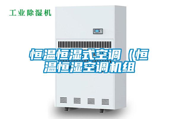 恒溫恒濕式空調（恒溫恒濕空調機組
