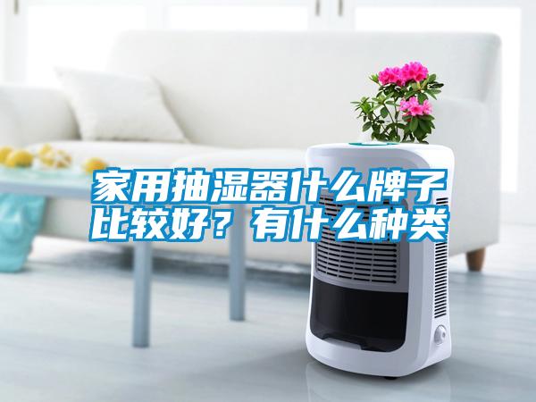 家用抽濕器什么牌子比較好?有什么種類
