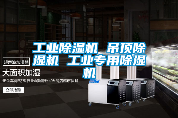 工業除濕機 吊頂除濕機 工業專用除濕機