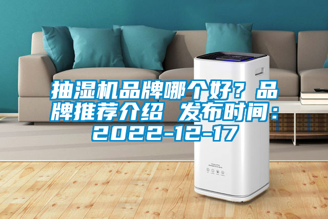 抽濕機品牌哪個好？品牌推薦介紹 發布時間：2022-12-17