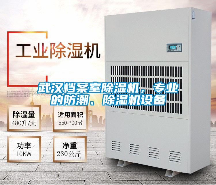 武漢檔案室除濕機(jī),專業(yè)的防潮、除濕機(jī)設(shè)備