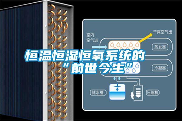 恒溫恒濕恒氧系統(tǒng)的“前世今生”