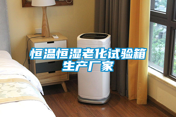 恒溫恒濕老化試驗箱生產廠家