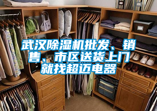 武漢除濕機(jī)批發(fā)、銷售、市區(qū)送貨上門就找超邁電器
