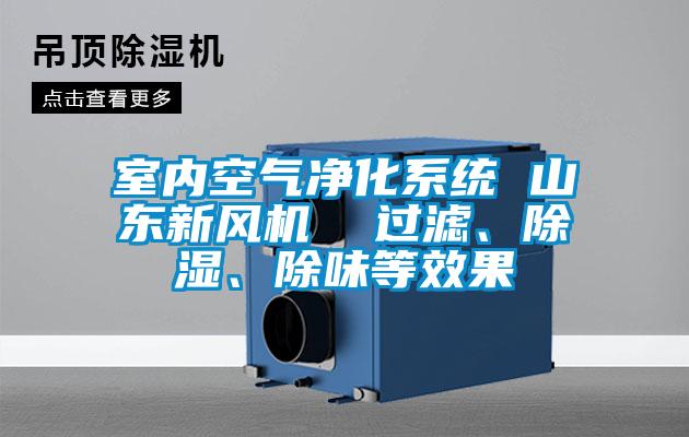 室內(nèi)空氣凈化系統(tǒng) 山東新風(fēng)機(jī) 過濾、除濕、除味等效果
