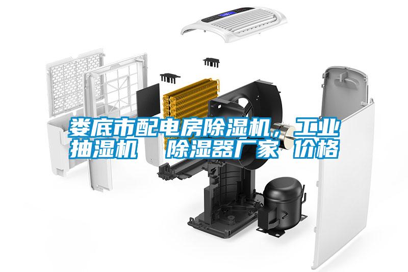 婁底市配電房除濕機(jī)，工業(yè)抽濕機(jī)  除濕器廠家 價(jià)格