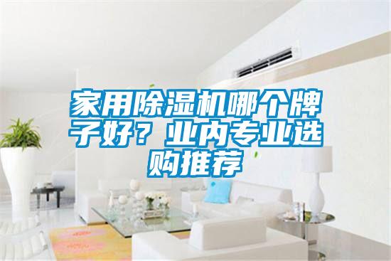 家用除濕機哪個牌子好？業內專業選購推薦