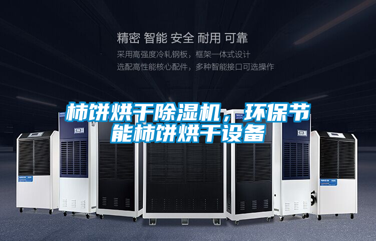 柿餅烘干除濕機，環保節能柿餅烘干設備