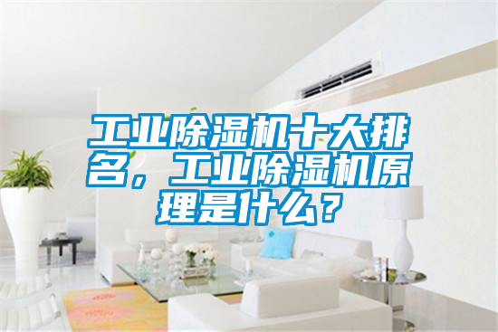 工業除濕機十大排名,工業除濕機原理是什么?